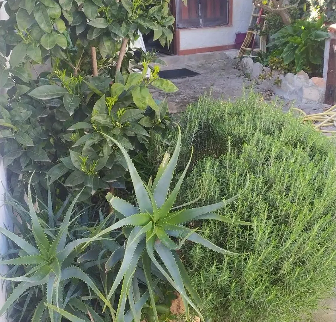Antica Baita Gergei Сasa de vacaciones